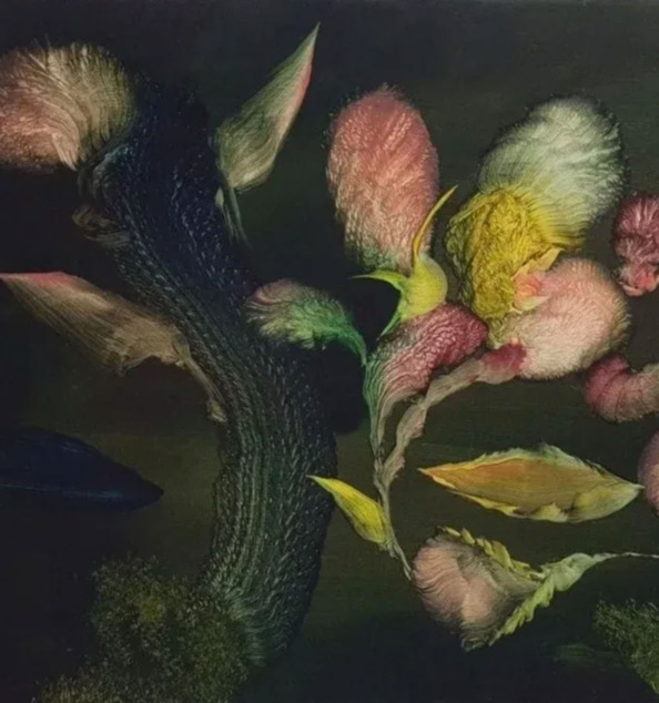 archivo canarias sema castro arte 06