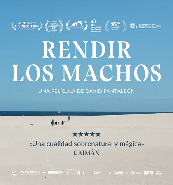 archivo canarias david pantaleon cine audiovisual 08